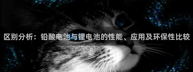 tp钱包联系电话