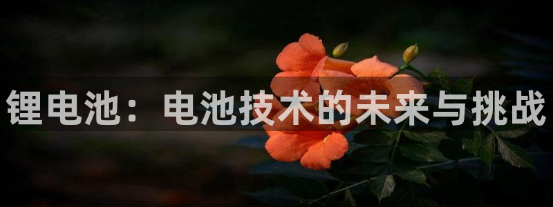 tp钱包下载有多少人用过