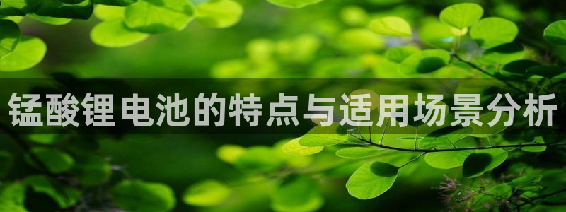 tp区块链钱包信得过吗安全吗