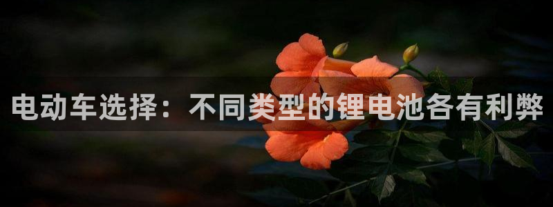 tp钱包pro版有什么区别