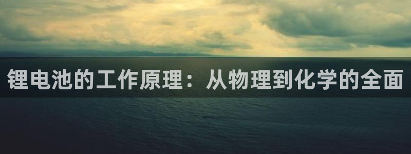 tp钱包转不出去：锂电池的工作原理：从物理到化学的全面