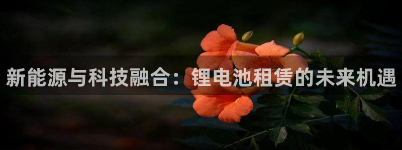 TP钱包跑路最新消息：新能源与科技融合：锂电池租赁的未来机遇