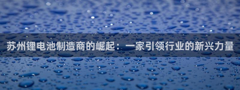 tp钱包如何兑换：苏州锂电池制造商的崛起：一家引领行业的新兴力量