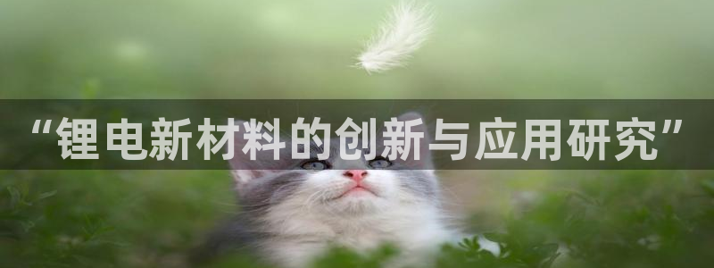 tokenpocket tpt：“锂电新材料的创新与应用研究”