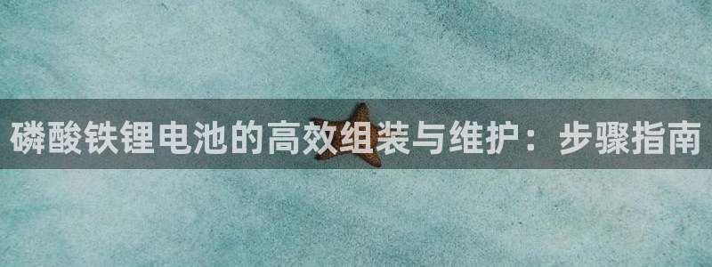 tp钱包官网下载app最新版本：磷酸铁锂电池的高效组装与维护：步骤指南