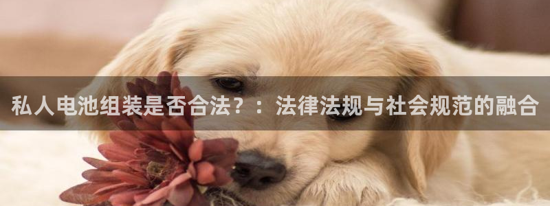 tp钱包和交易所哪个安全：私人电池组装是否合法？：法律法规与社会规范的融合
