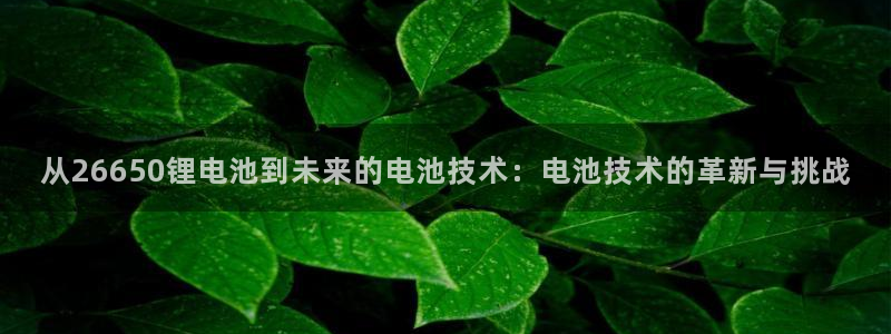 tp钱包APP官方免费下载：从26650锂电池到未来的电池技术：电池技术的革新与挑战