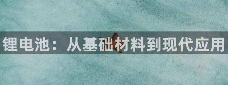 tp钱包官方网下载jzdlwc：锂电池：从基础材料到现代应用