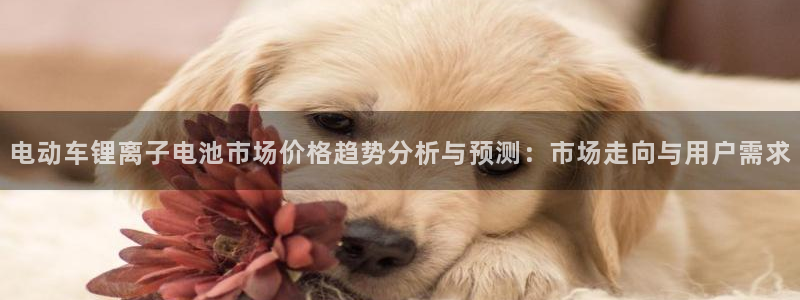 tp钱包选择哪个网络：电动车锂离子电池市场价格趋势分析与预测：市场走向与用户需求
