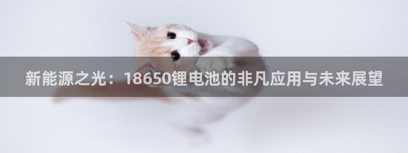TP钱包怎样下载1.9.2版本