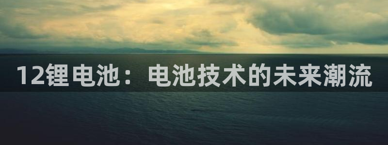 tp钱包创建钱包错误怎么办：12锂电池：电池技术的未来潮流