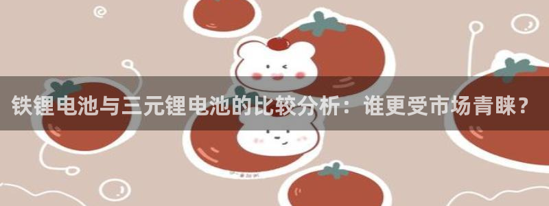 tp钱包下载app官网正版安装后无法打开：铁锂电池与三元锂电池的比较分析：谁更受市场青睐？