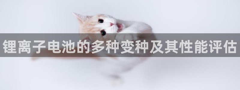 TP钱包下载入口：锂离子电池的多种变种及其性能评估