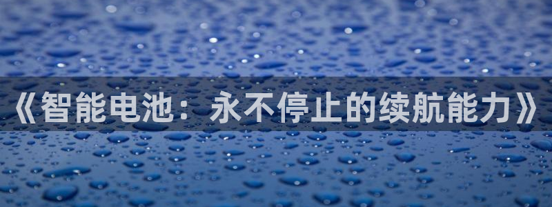tp钱包官网版app正版：《智能电池：永不停止的续航能力》