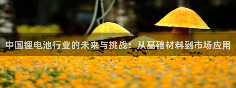 TP 钱包挖ok矿：中国锂电池行业的未来与挑战：从基础材料到市场应用