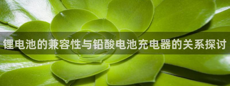 tp钱包无法安装：锂电池的兼容性与铅酸电池充电器的关系探讨