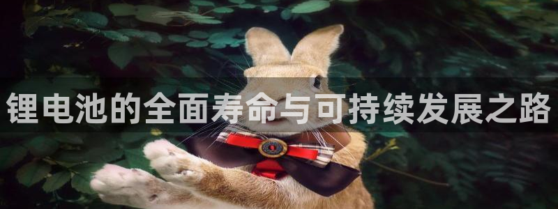 tp钱包 安全吗