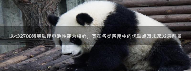 TP钱包app下载最新版本更新内容：以<32700磷酸铁锂电池性能为核心，其在各类应用中的优缺点及未来发展前景