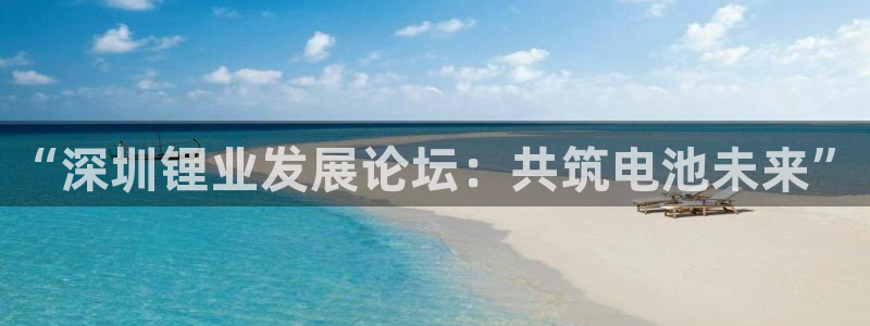 tp钱包下载app官网地址：“深圳锂业发展论坛：共筑电池未来”