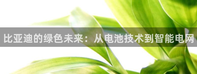 tp钱包怎样添加合约地址：比亚迪的绿色未来：从电池技术到智能电网