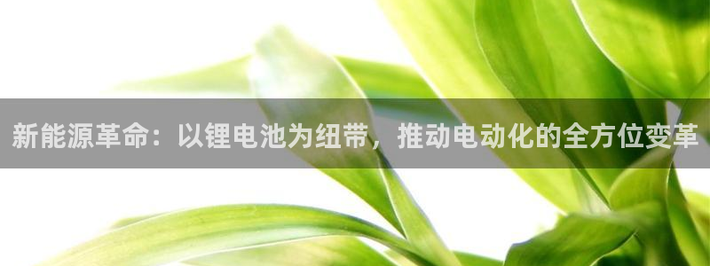 tptp下载官方安装nu：新能源革命：以锂电池为纽带，推动电动化的全方位变革