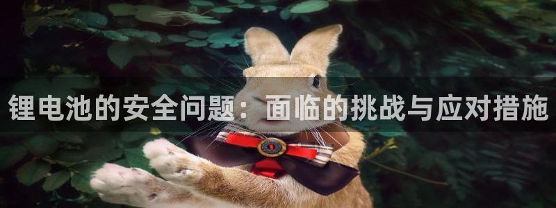 Tp钱包官网怎么没下载图标：锂电池的安全问题：面临的挑战与应对措施