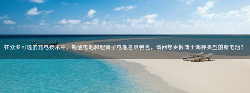 TP钱包打不开了,怎么回事：在众多可选的充电技术中，铅酸电池和锂离子电池各具特色。请问您更倾向于哪种类型的新电池？