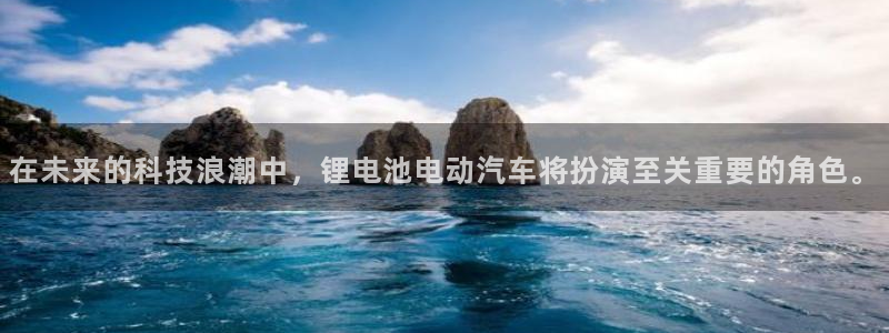 tp钱包交易数据不更新：在未来的科技浪潮中，锂电池电动汽车将扮演至关重要的角色。