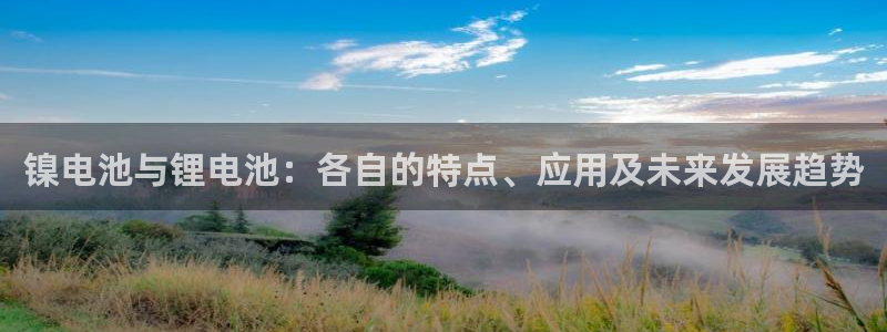 tp钱包看不到交易记录：镍电池与锂电池：各自的特点、应用及未来发展趋势