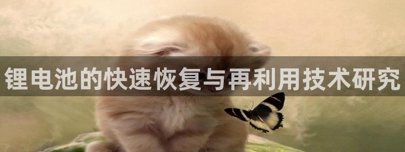 tp钱包授权了会不会被盗币：锂电池的快速恢复与再利用技术研究