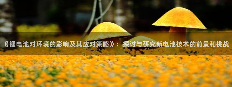 tp钱包最新版怎么下载：《锂电池对环境的影响及其应对策略》：探讨与研究新电池技术的前景和挑战