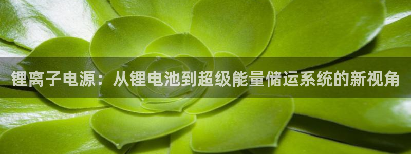 tp钱包官方最新app：锂离子电源：从锂电池到超级能量储运系统的新视角