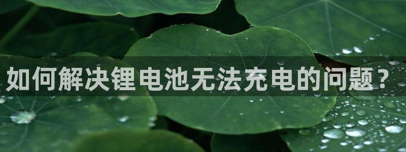 tp钱包gas fail：如何解决锂电池无法充电的问题？