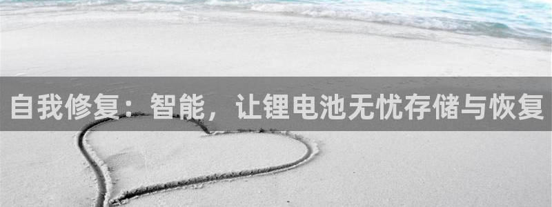tp观察钱包怎么转换普通钱包：自我修复：智能，让锂电池无忧存储与恢复