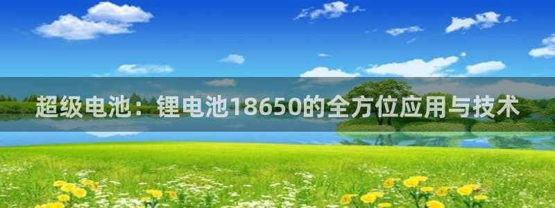 tp钱包怎么存usdt：超级电池：锂电池18650的全方位应用与技术