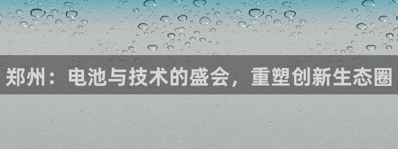 tp观察钱包怎么转账：郑州：电池与技术的盛会，重塑创新生态圈