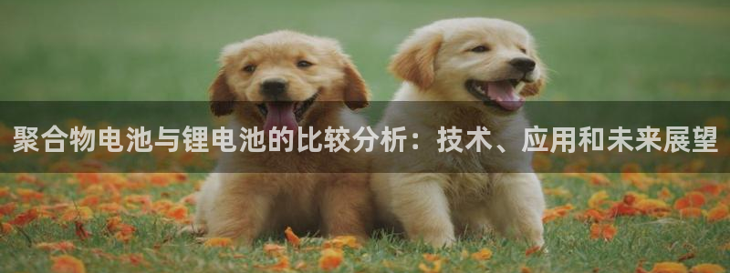 tp钱包矿工费购买：聚合物电池与锂电池的