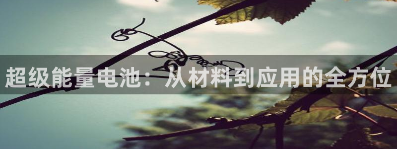 tp钱包如何创建子钱包：超级能量电池：从